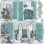 若返りスプレー